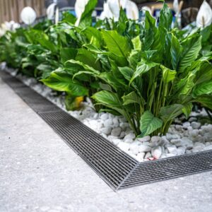 Stainless Steel Linear Drain – 600mm (Heelguard Grate, 85 x 22mm, DIY 50mm Outlet)
