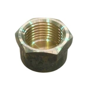 Brass Hexagonal End Cap – 20mm LF