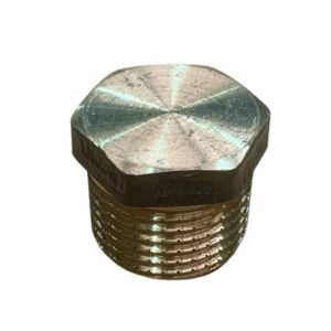Brass Hexagonal Plug – 20mm