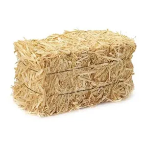Straw Hay Bale – Clean Mulch, Erosion Control And Bedding