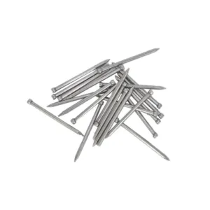 Nail Bullet Head – 50mm x 2.8mm Bright Steel 5kg