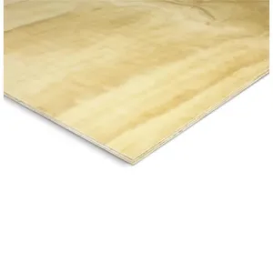 Structural CD Plywood Sheet – 2400 x 1200 x 15mm Construction & Flooring